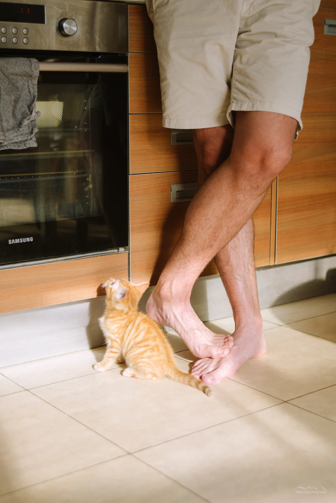 A person in beige shorts standing barefoot in a kitchen, with a small orange tabby kitten leaning against their leg and looking up at them. The person is next to a stove with a towel on it and wooden cabinets.