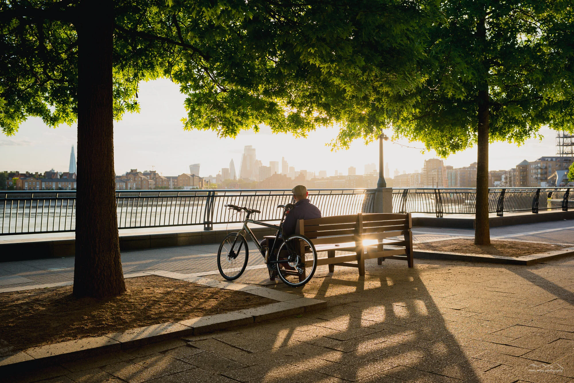 A person sitting on a bench with a bicycle next to them in a park, shaded by leafy trees, with a city skyline in the background during sunset.