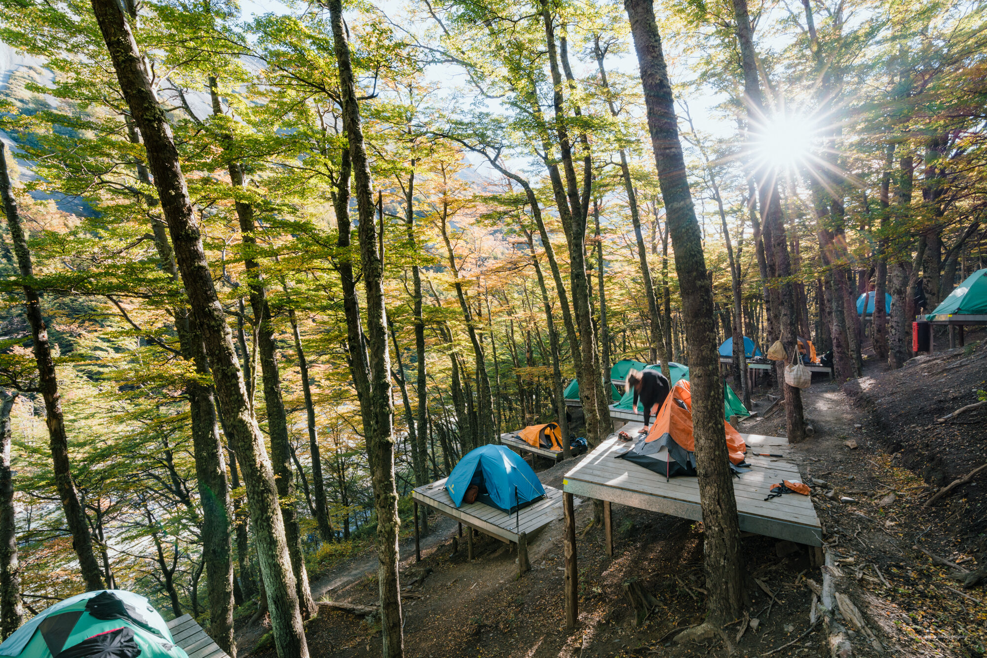 A forest with numerous trees and sunlight filtering through the leaves, and a campsite with colorful tents on a wooden platform.