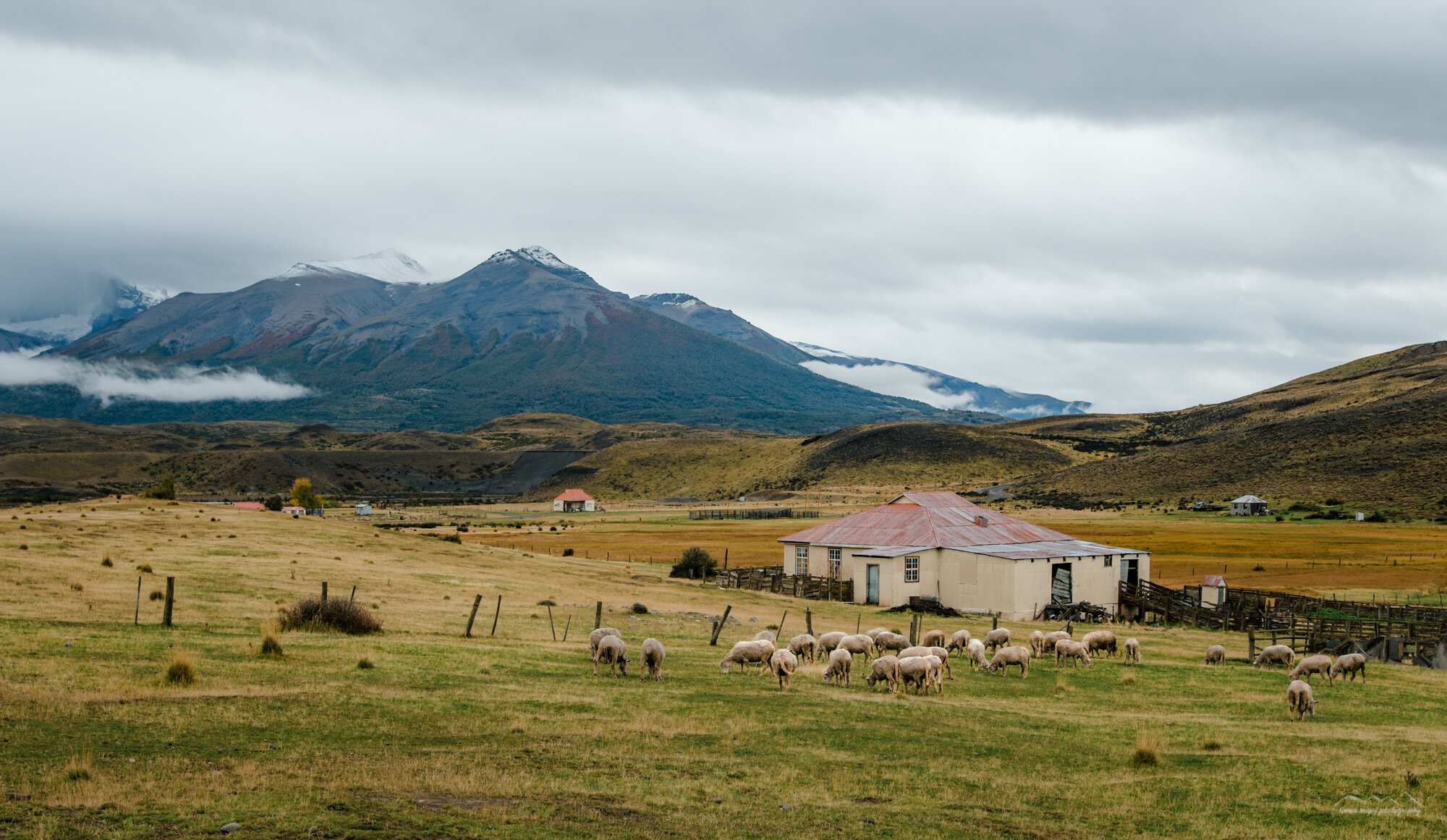 A rural landscape featuring a farm with sheep grazing in a field, a few houses, rolling hills, and mountains with snow-capped peaks in the background under a cloudy sky.