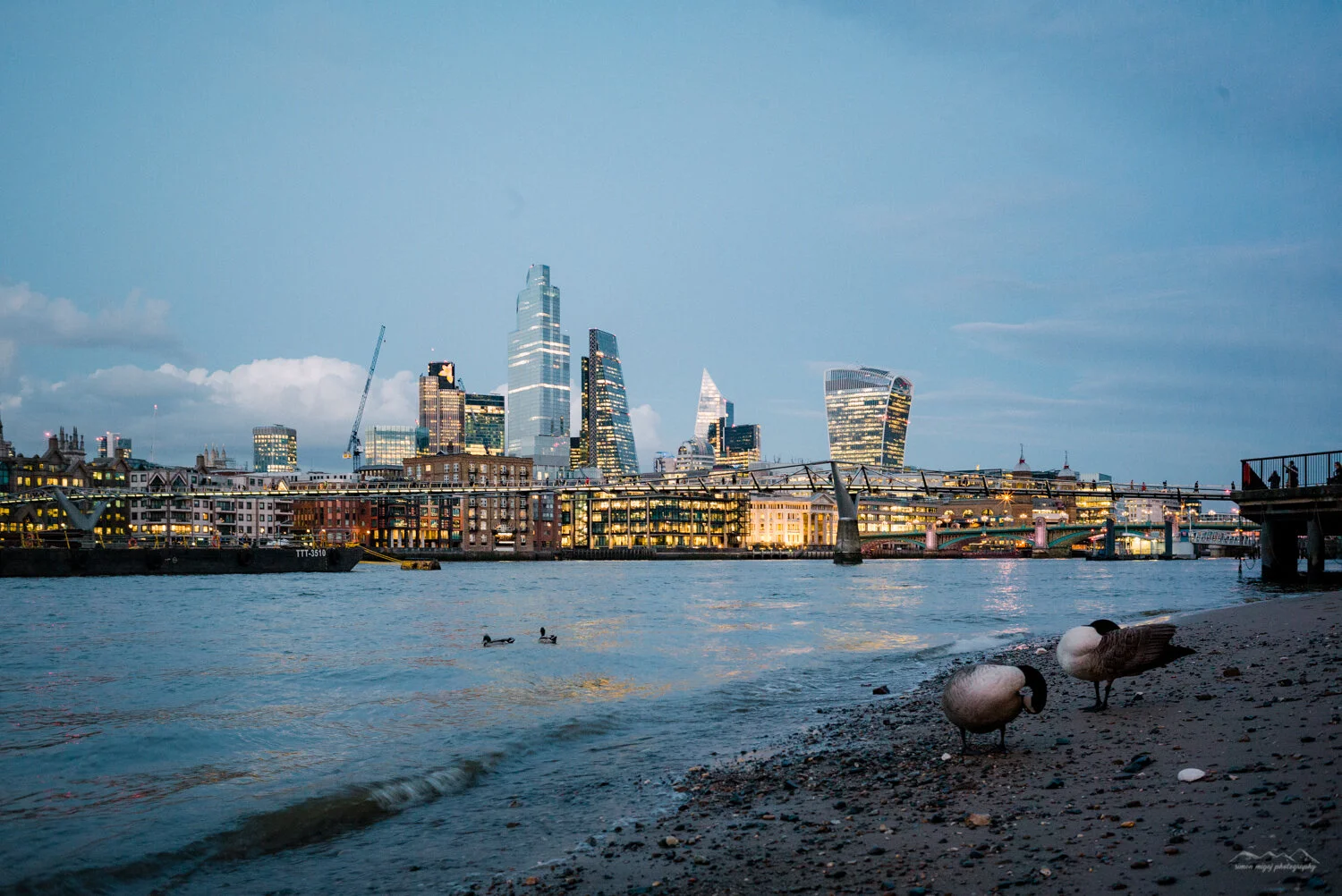 View of a city skyline across a river at dusk with modern high-rise buildings, a bridge, and sailboats, with two swans on the beach in the foreground.