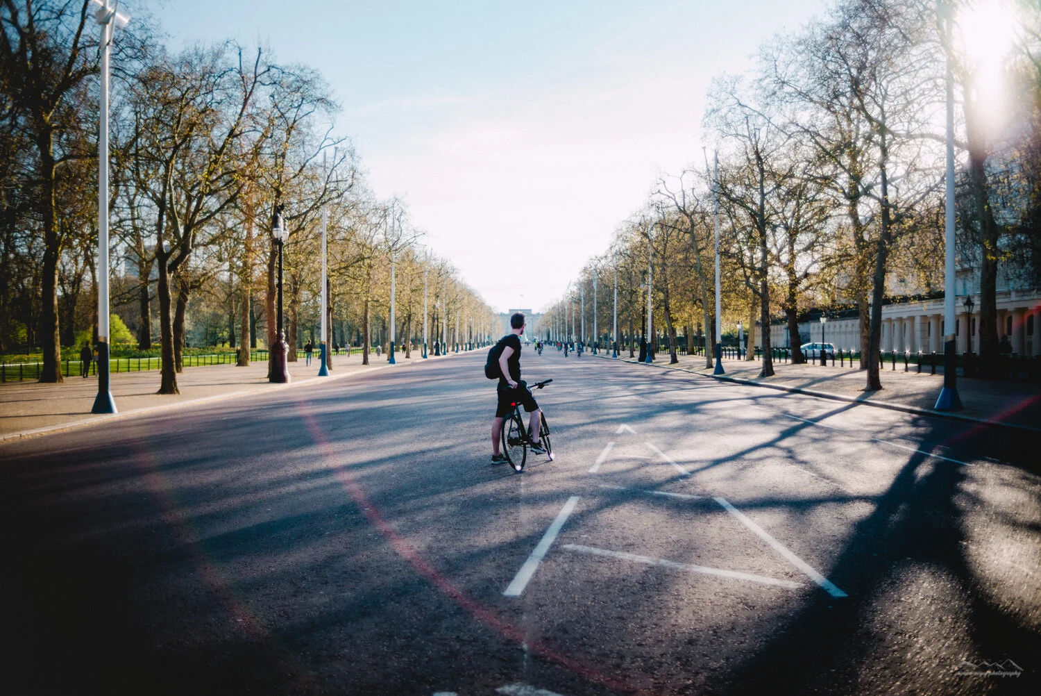 Person standing with bike in the middle of a wide, empty street lined with leafless trees, with sunlight shining from the right side.