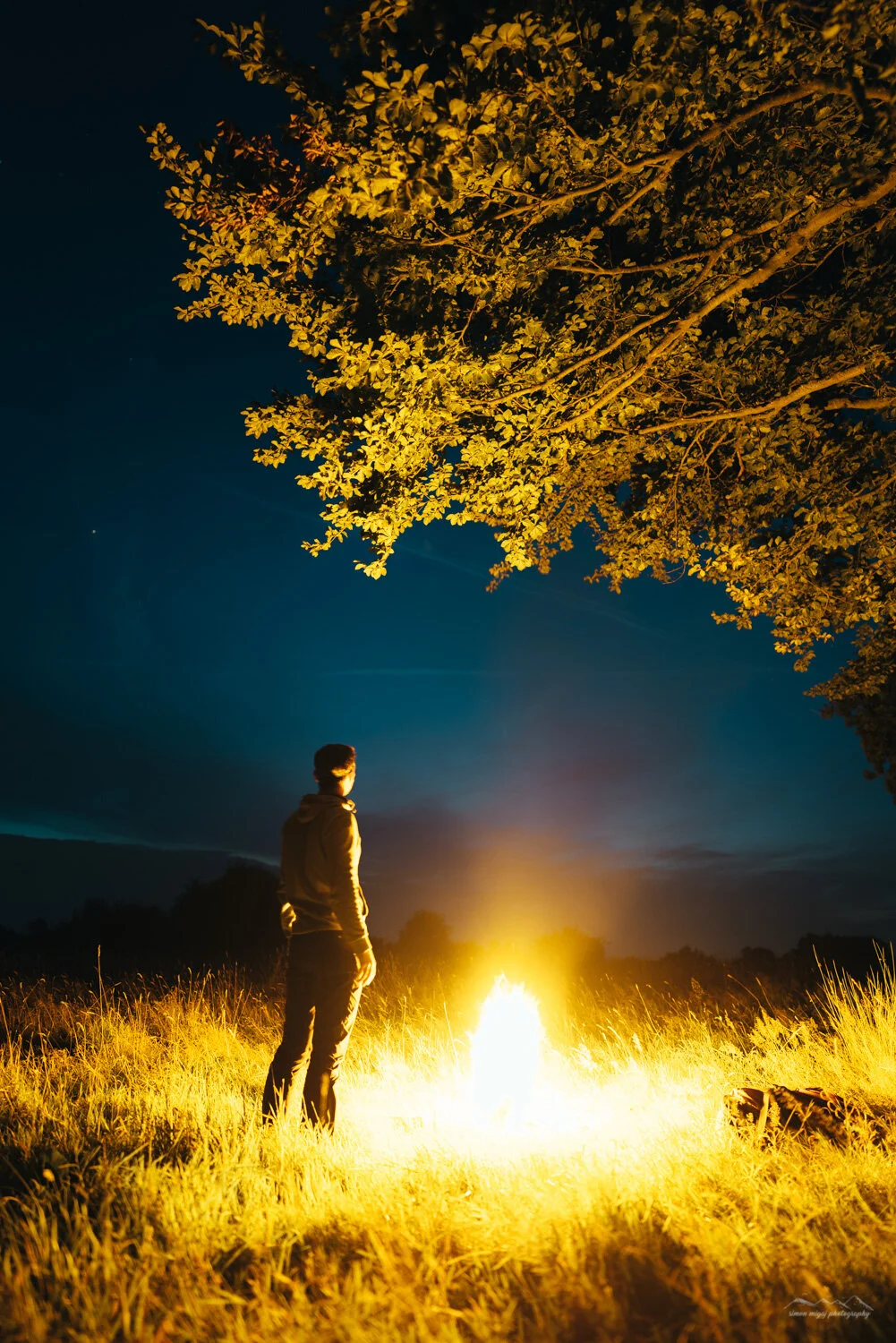 A person standing in front of a campfire at night in an open field, with a large tree overhead and a dark sky.