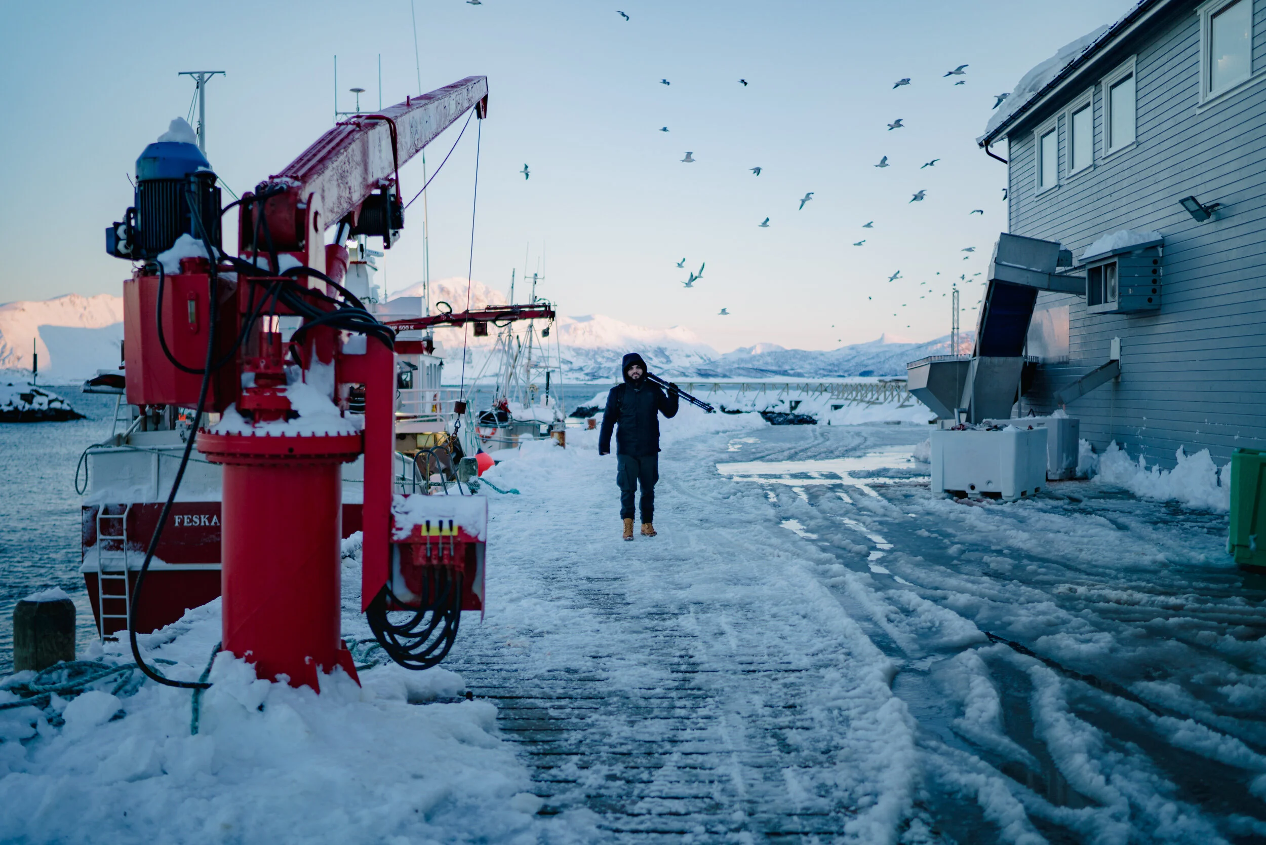A man walking on a snow-covered dock holding a tripod, with a red crane machine and a building with snow on the roof, seagulls flying in the sky, and mountains in the background.
