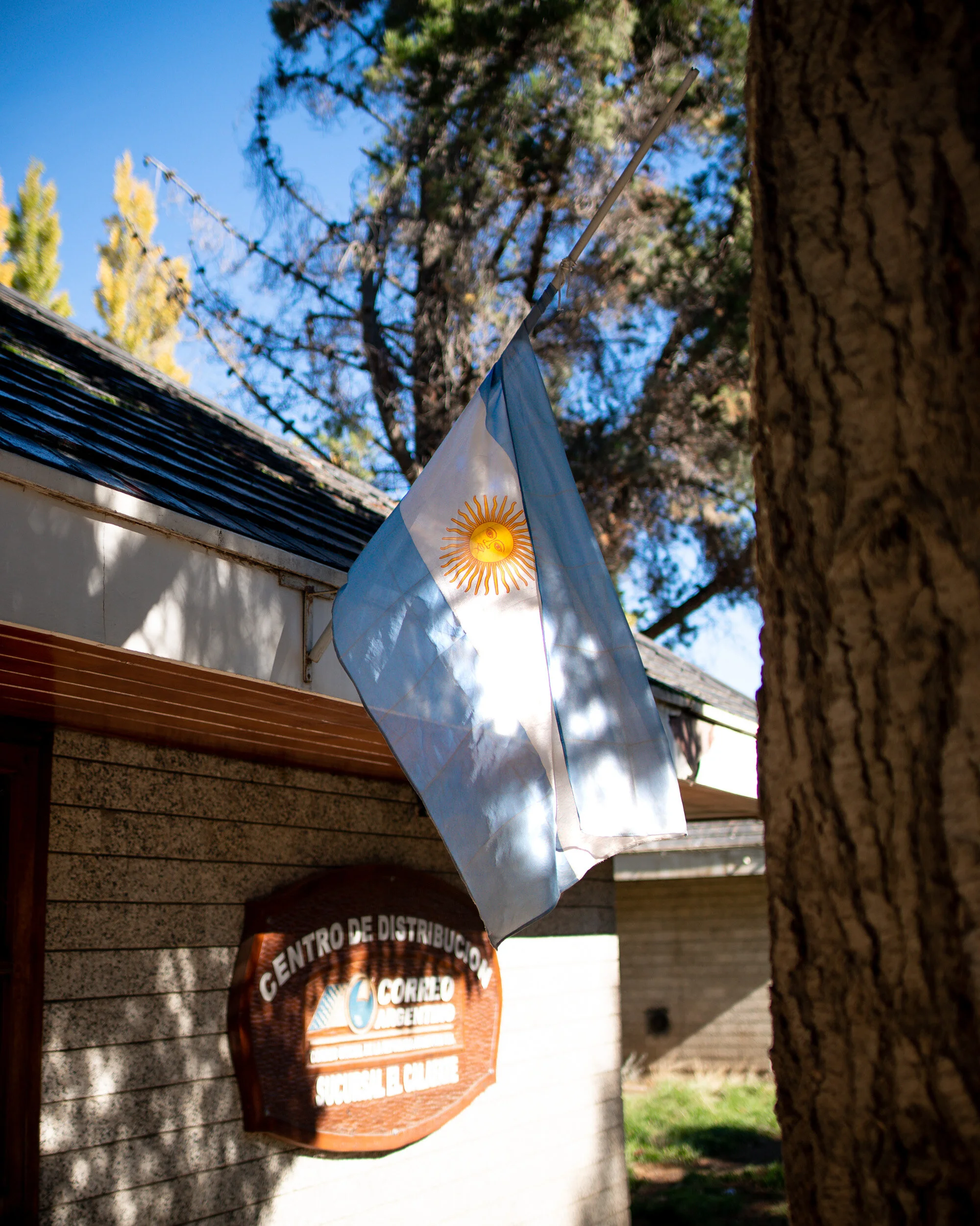 Argentine flag hanging outdoors next to a tree, with a building and a sign on a stone wall in the background.