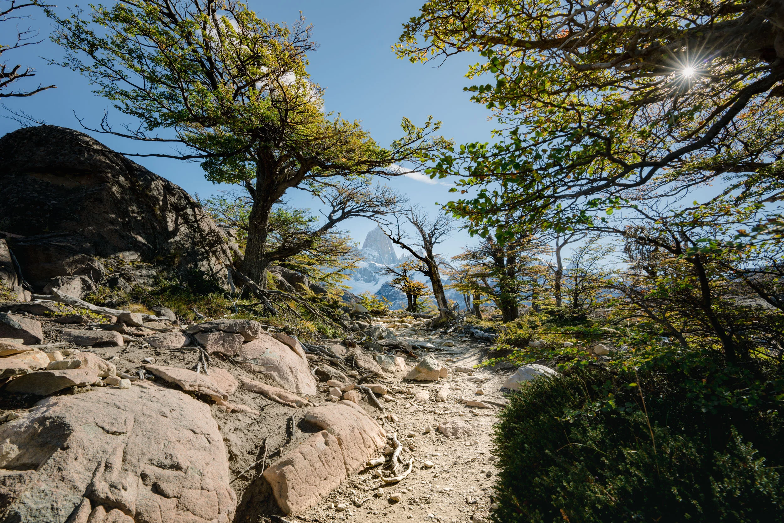 A mountain trail surrounded by rocky terrain, trees with green foliage, and a snow-capped mountain in the background under a bright blue sky.