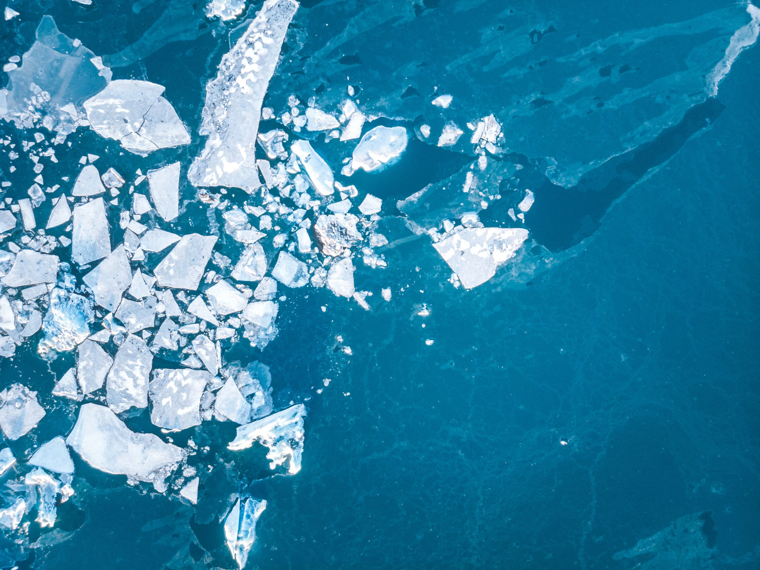 Chunks of breaking ice floating in the ocean or a large body of water.