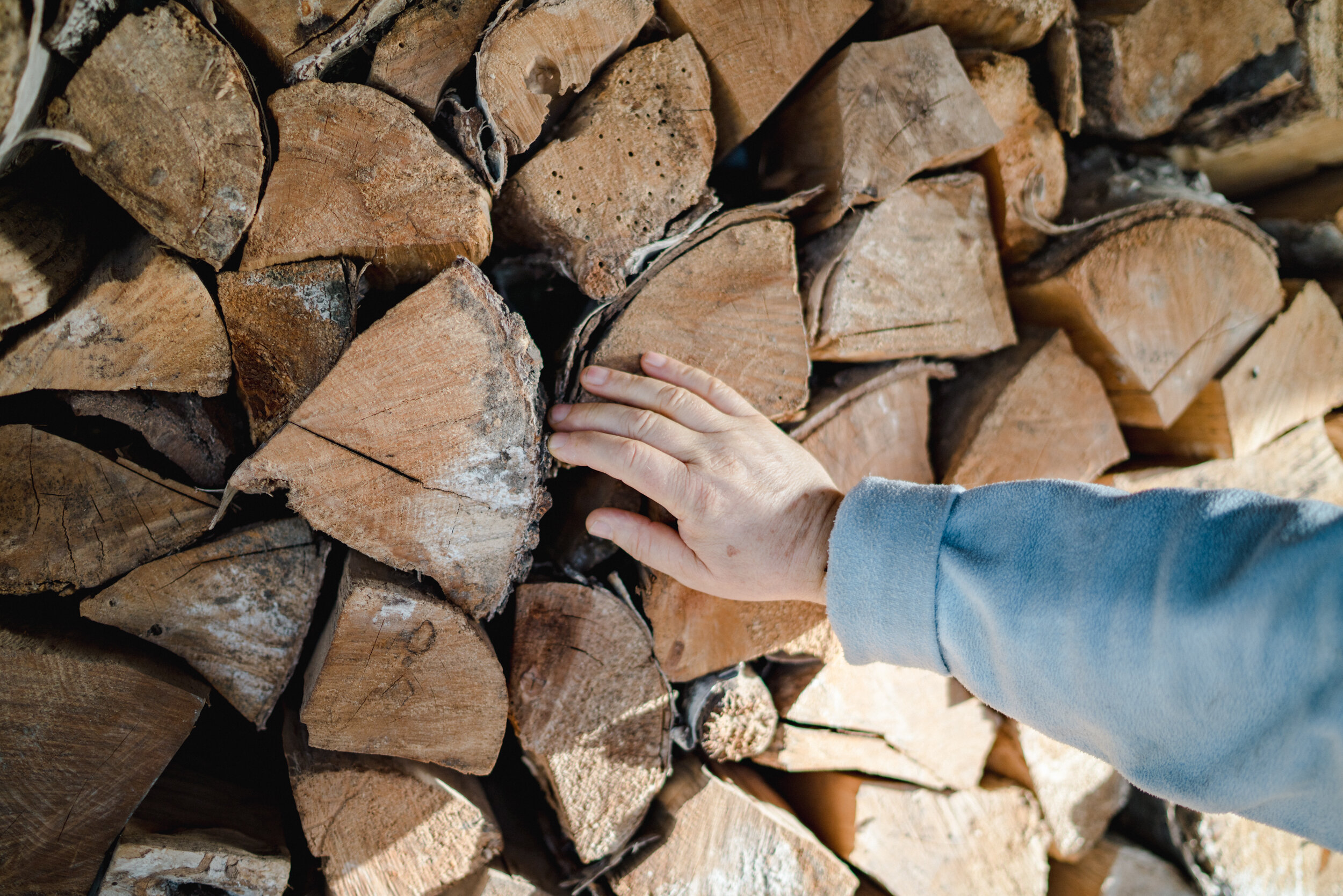 Close-up of stacked logs with a person’s hand touching them, wearing a light blue long sleeve shirt.