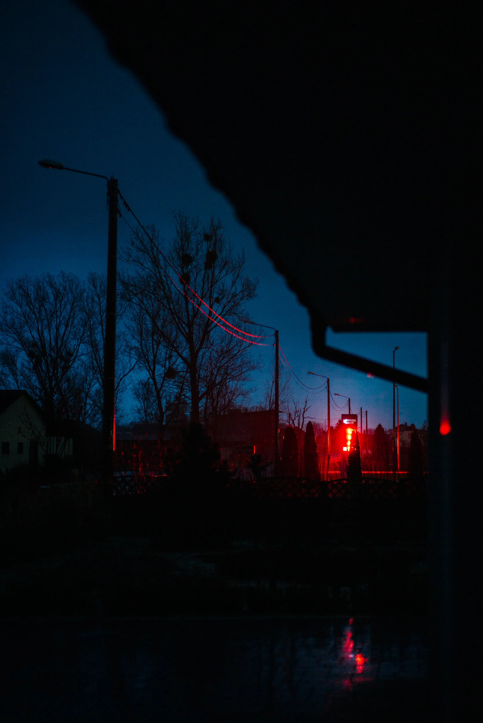 A nighttime street scene with a blue sky, silhouette of trees, a streetlamp, and red traffic lights, some reflections on a wet pavement, and a dark overhang framing the view.