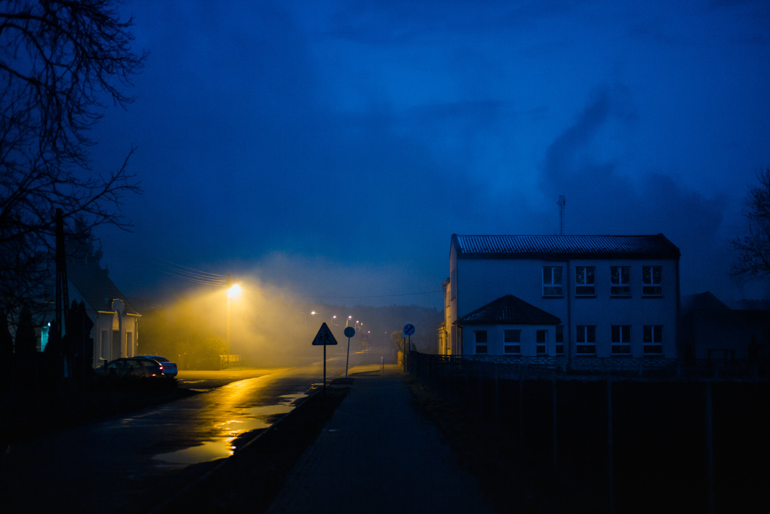 A quiet residential street scene at dusk or early evening with a blue sky, illuminated street lights creating a warm glow, a few houses, trees without leaves, and a wet road reflecting the street lights.