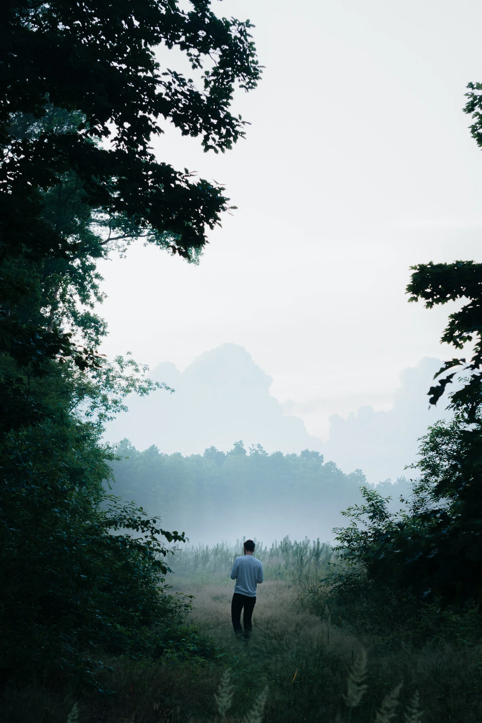 A person walking through a green, foggy forest with tall trees and lush foliage, seen from behind.