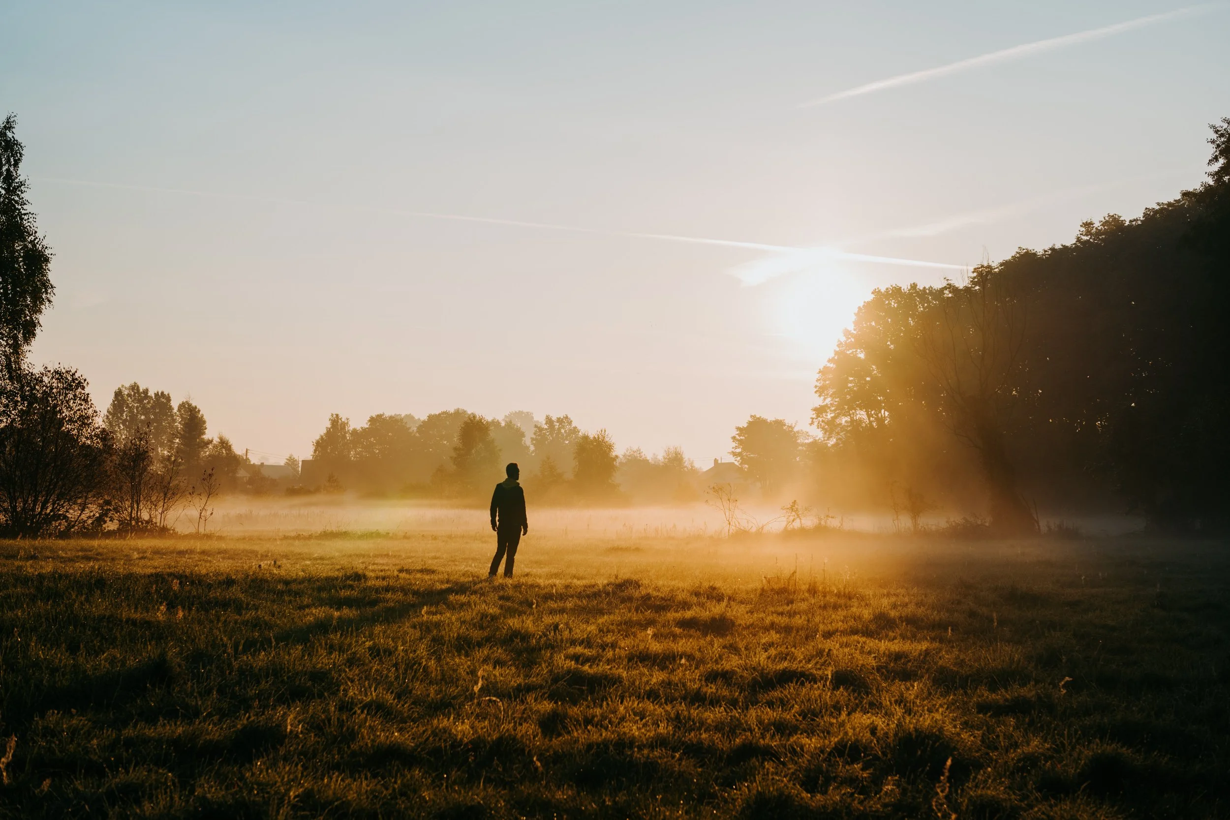 A person walking through a foggy field during sunrise, surrounded by trees and a clear sky with some clouds.