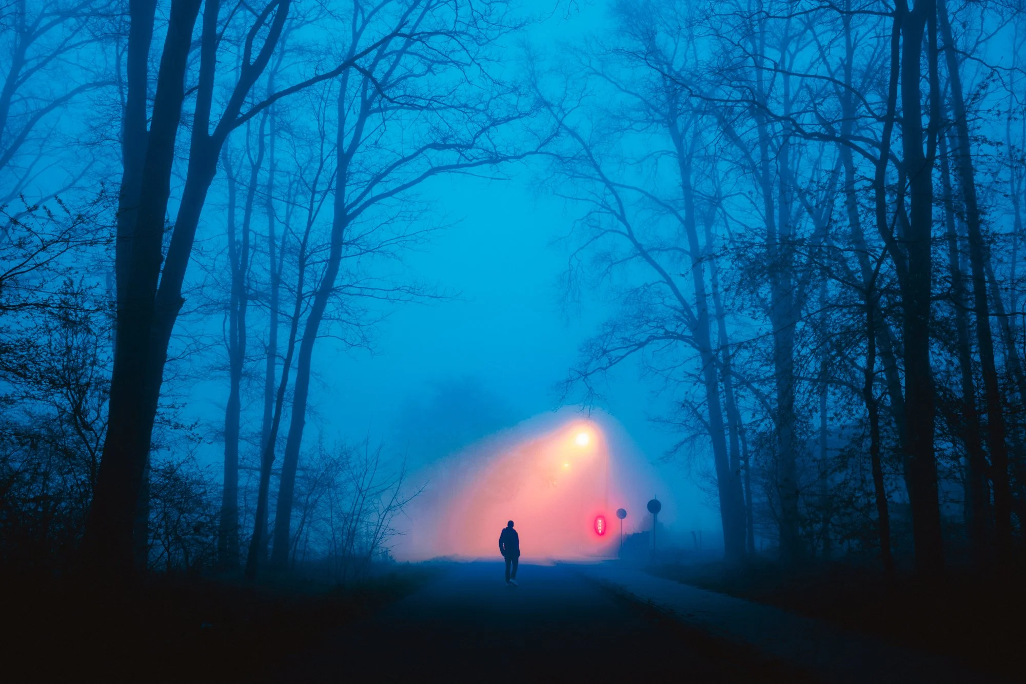 A person walking on a foggy street at dusk or dawn, with leafless trees lining the road and streetlights illuminating the fog.