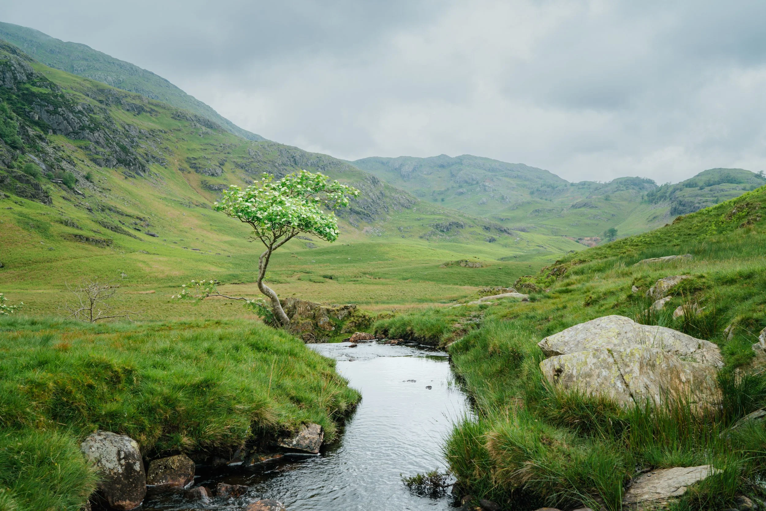 240528_LakeDistrict-4978.JPG (Copy)