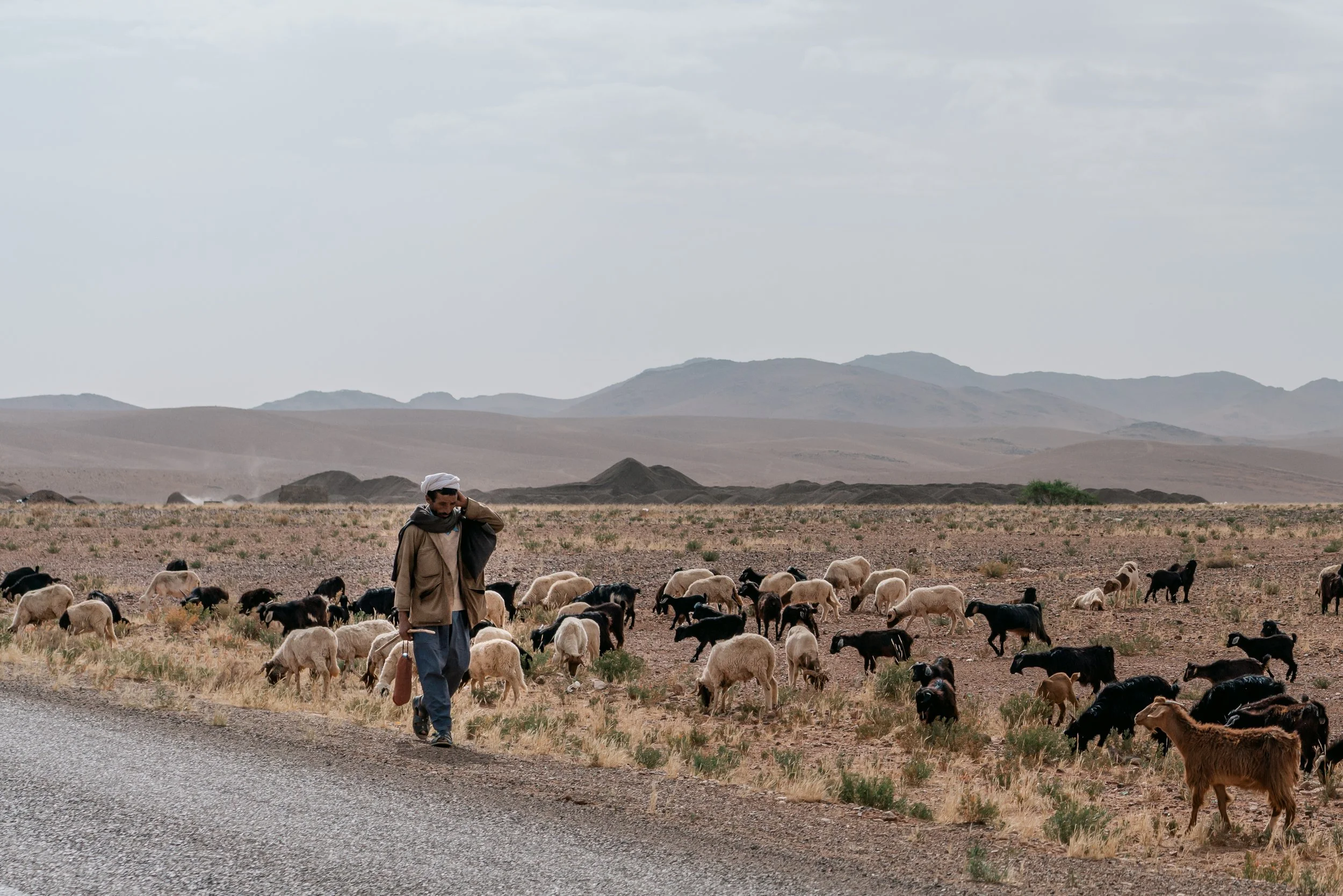 250601_Morocco-9573.JPG (Copy)