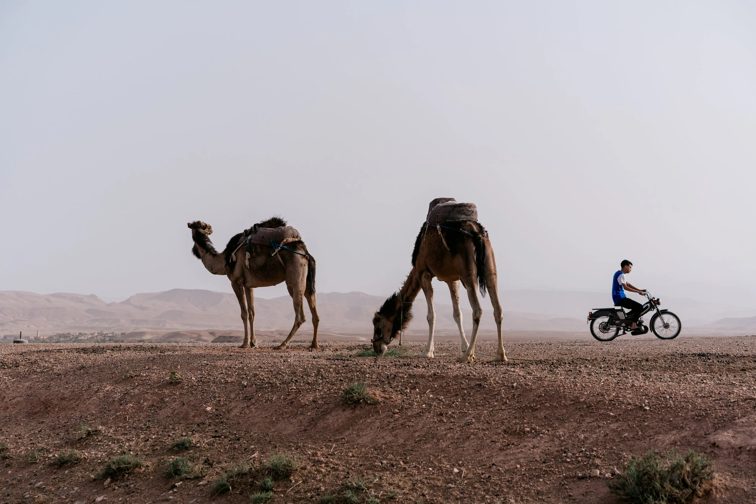 250601_Morocco-4336.JPG (Copy)