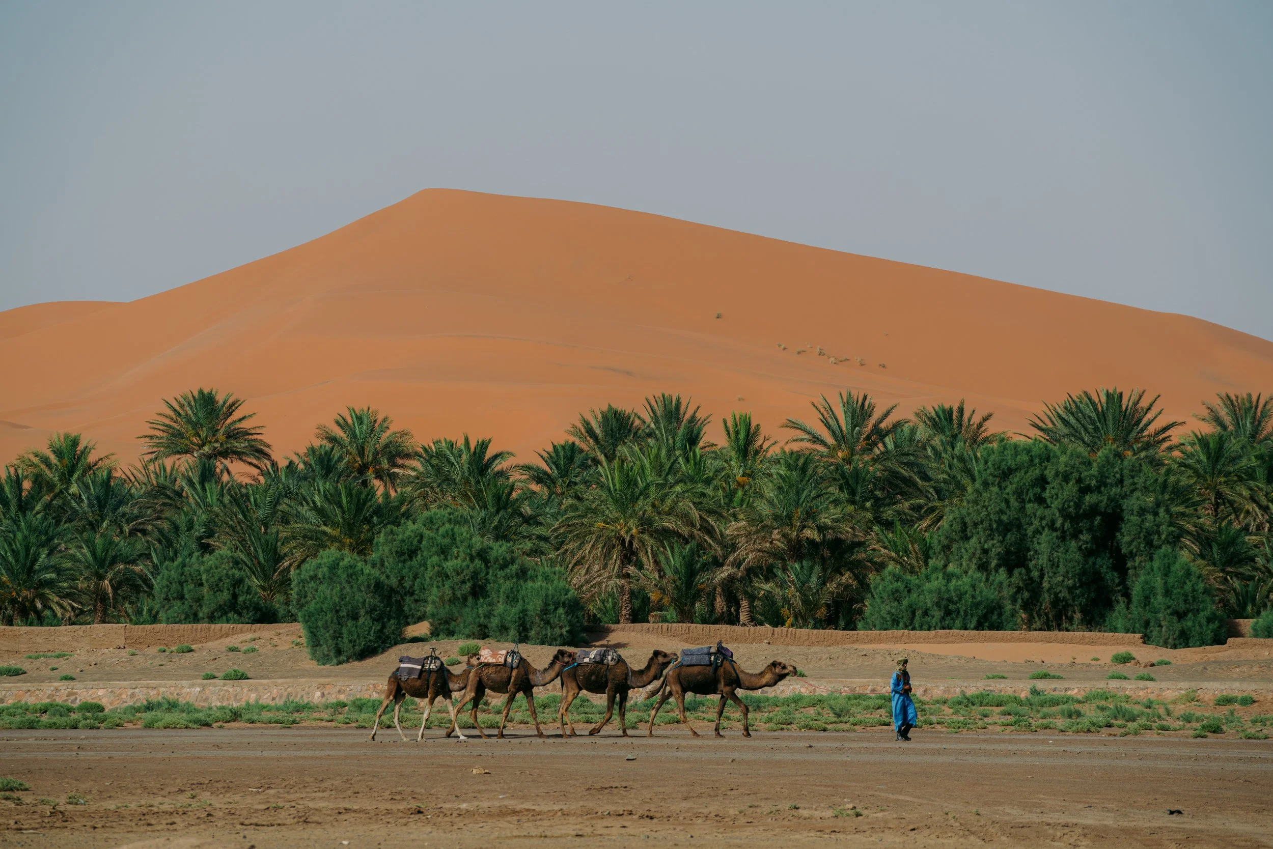 250601_Morocco-4397.JPG (Copy)