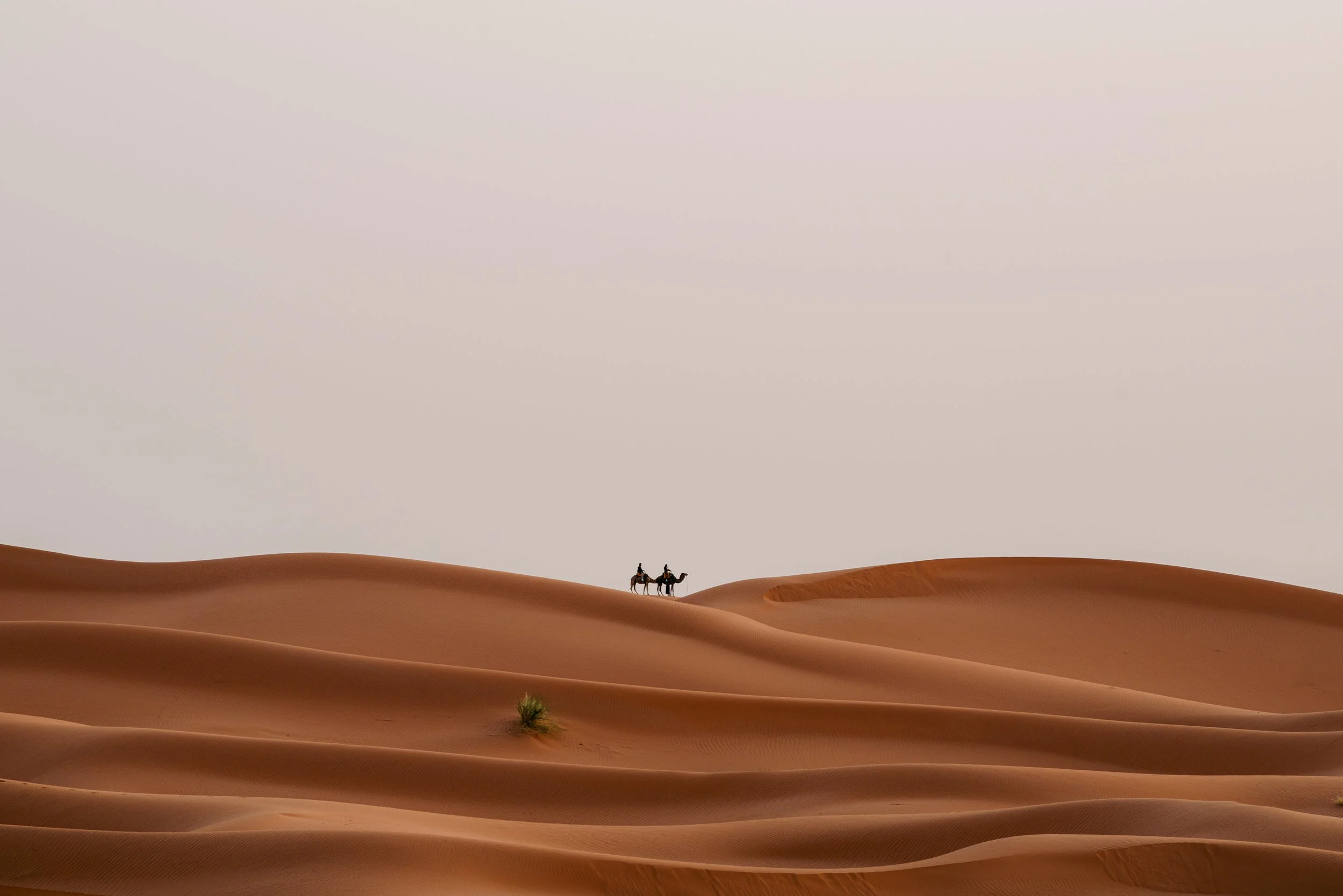 250601_Morocco-4502.JPG (Copy)