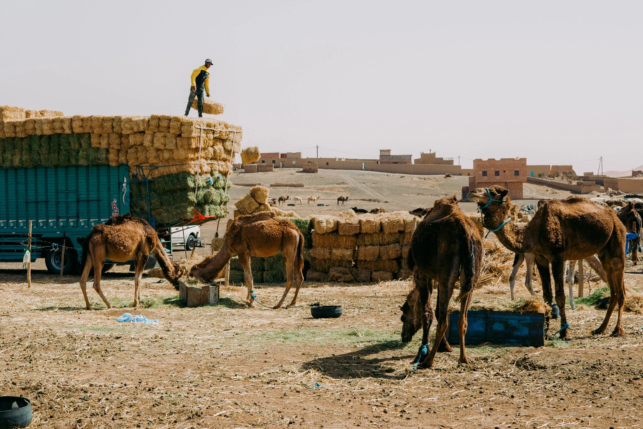 250601_Morocco-9401.JPG (Copy)