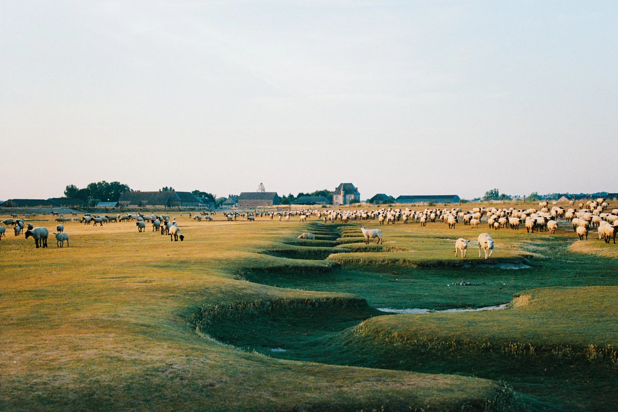 260803_FILM_Bretagne-000048.JPG