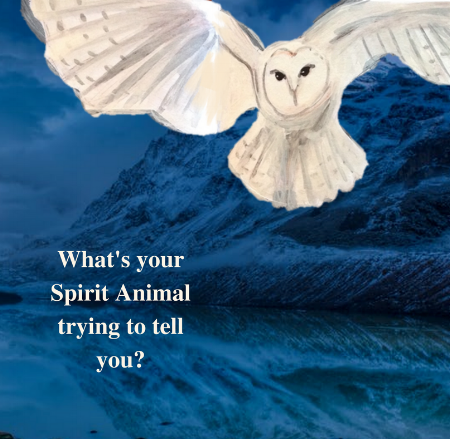 1A1owlblueV2V.png