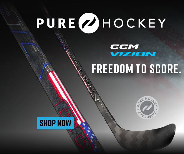 012826_PH_Vizion USA edition_300x250.png