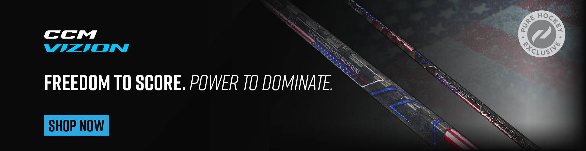 012826_PH_Vizion USA edition_970x350.png