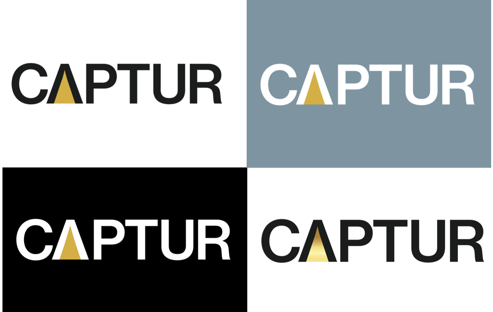 logo variations.png