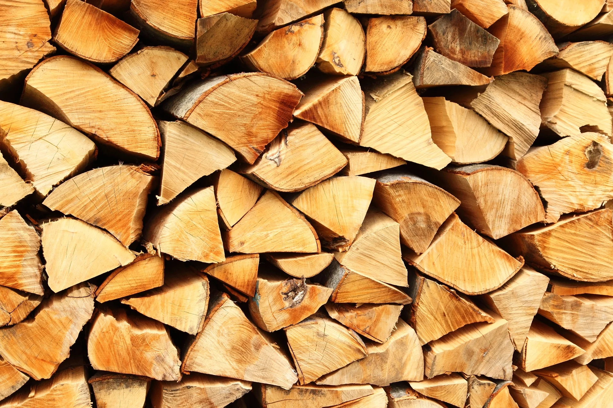 Firewood.jpg