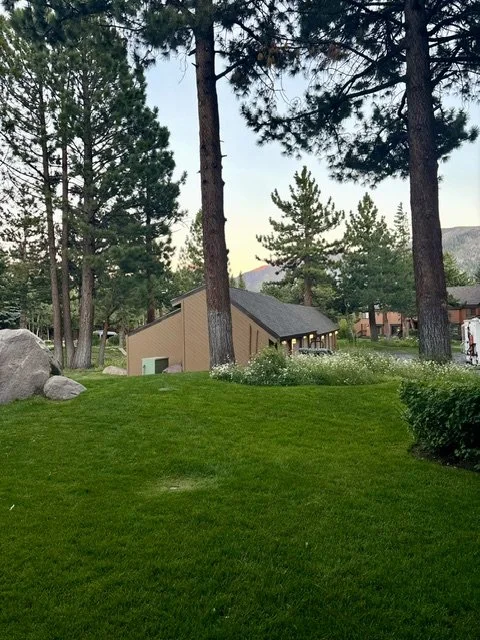 Cabin in the Mammoth Woods