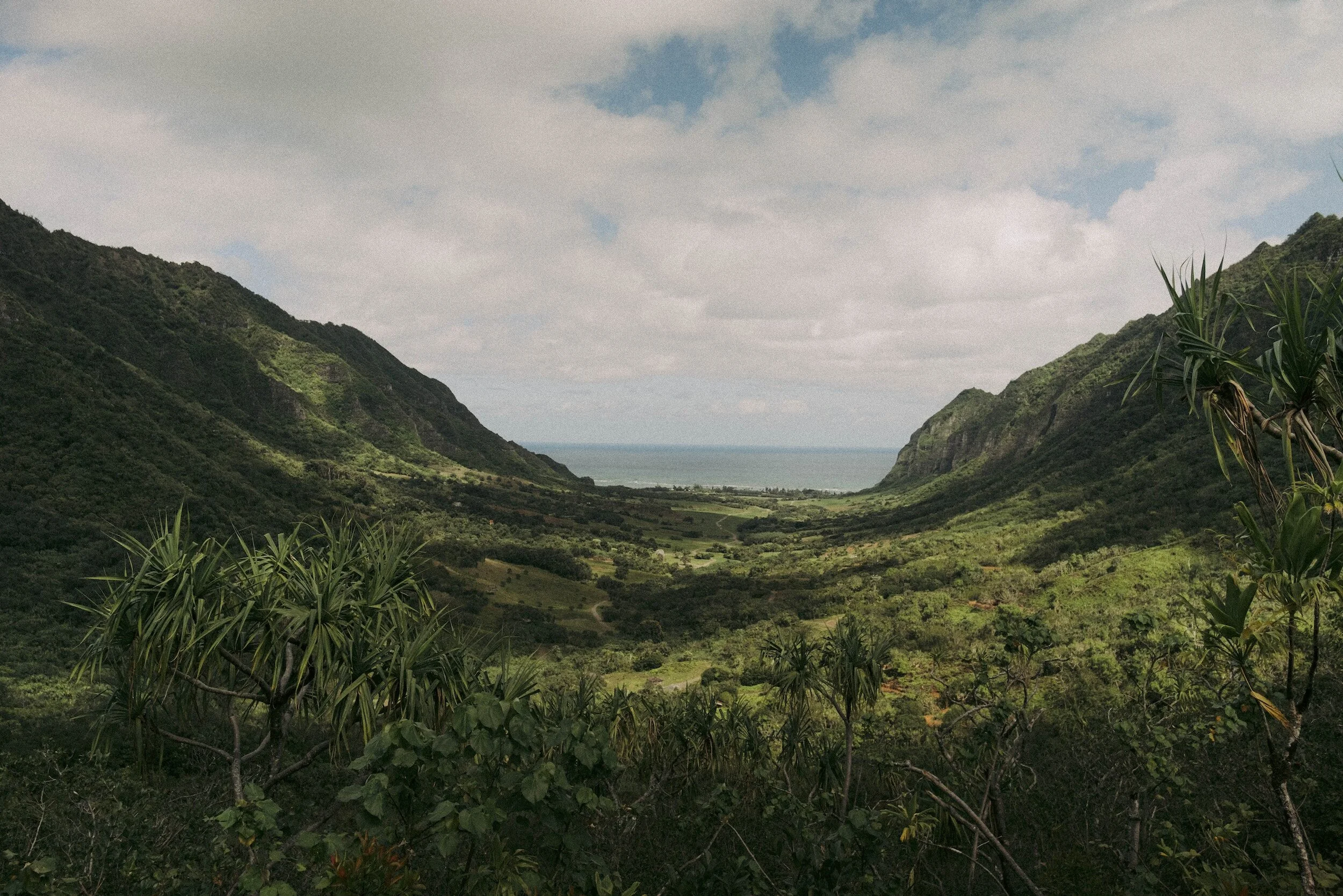 ALOHA