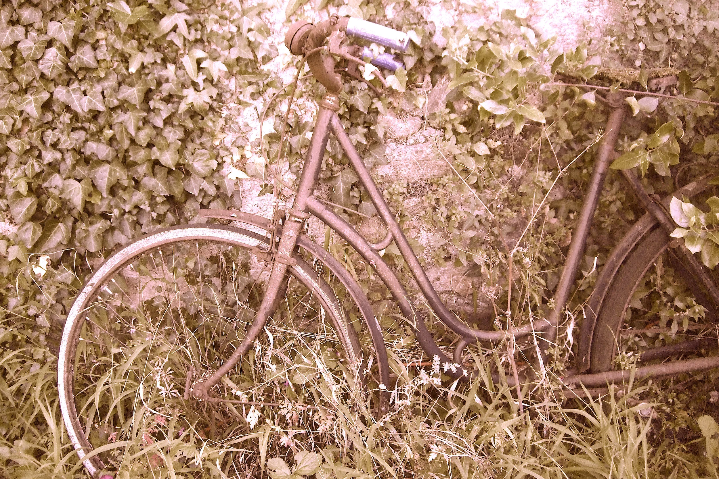 france bike original 2 copy.jpg