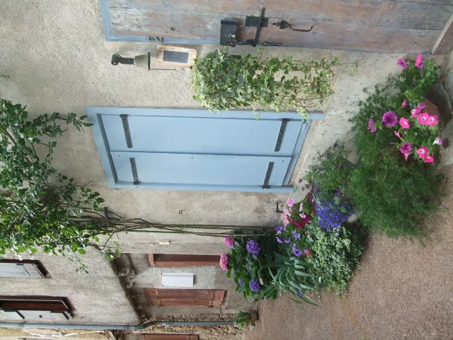file167.jpg