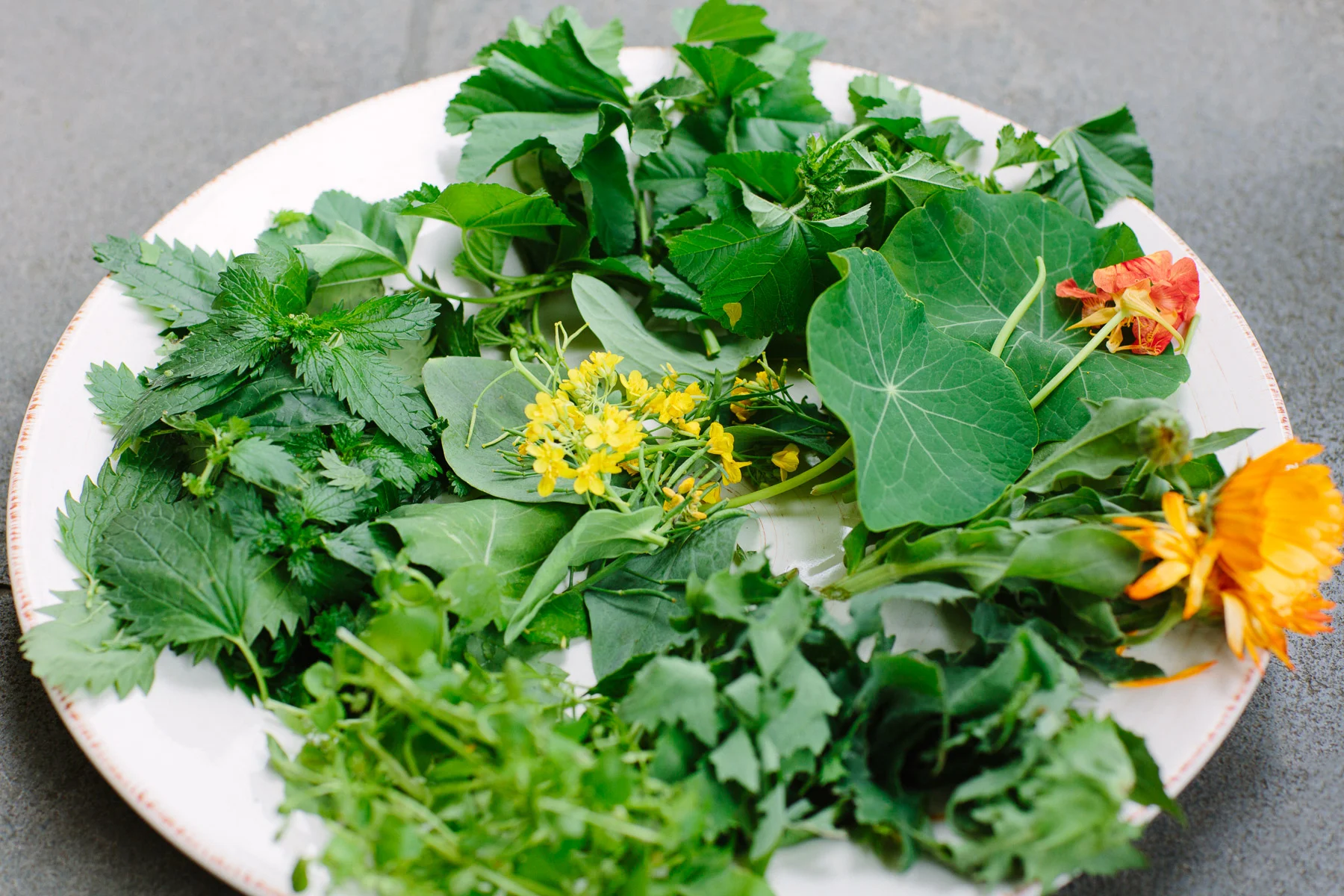 Foraged weeds. Photograph by Emma Byrnes.