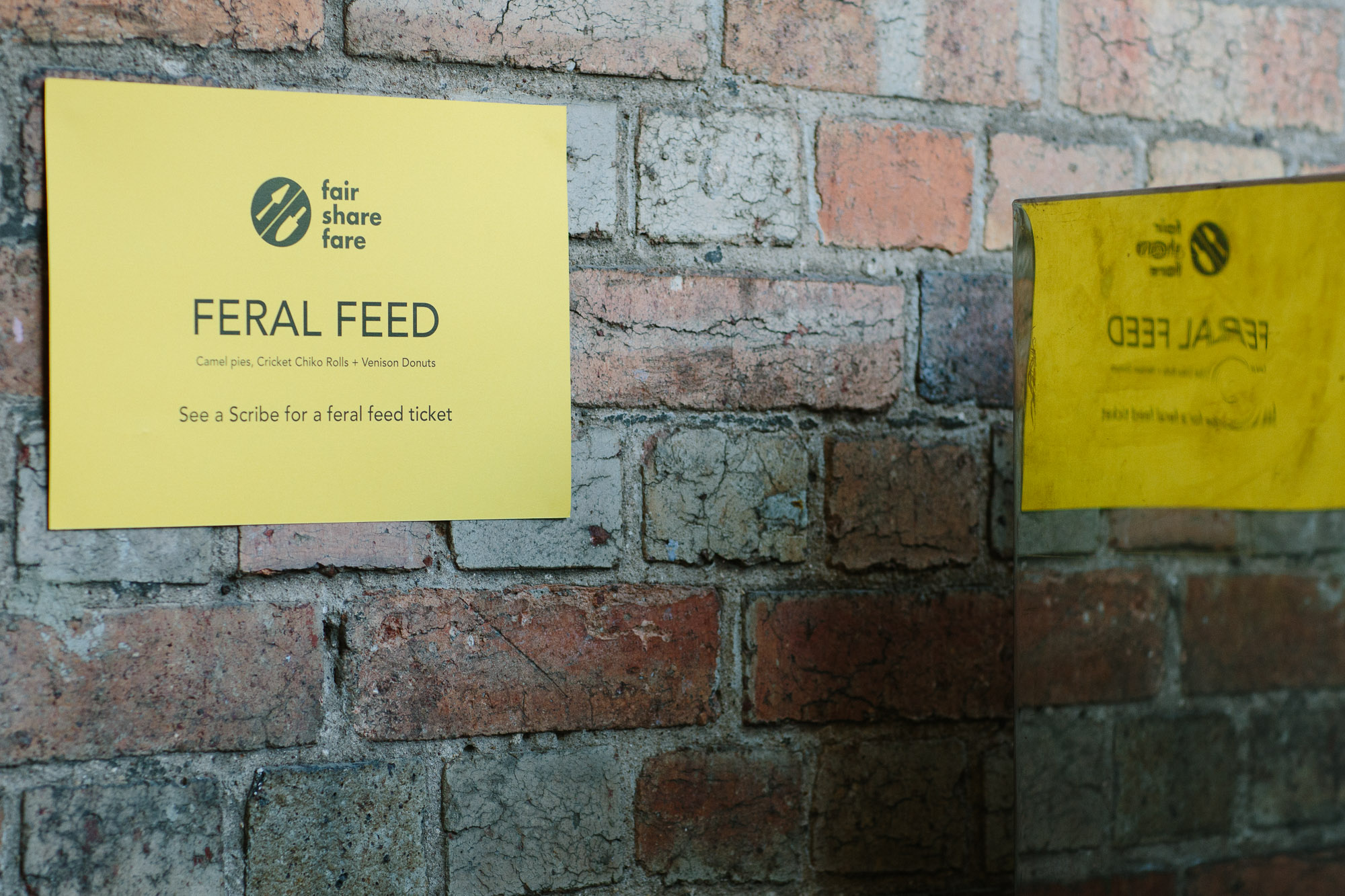 lowres_feralfeed-10.jpg