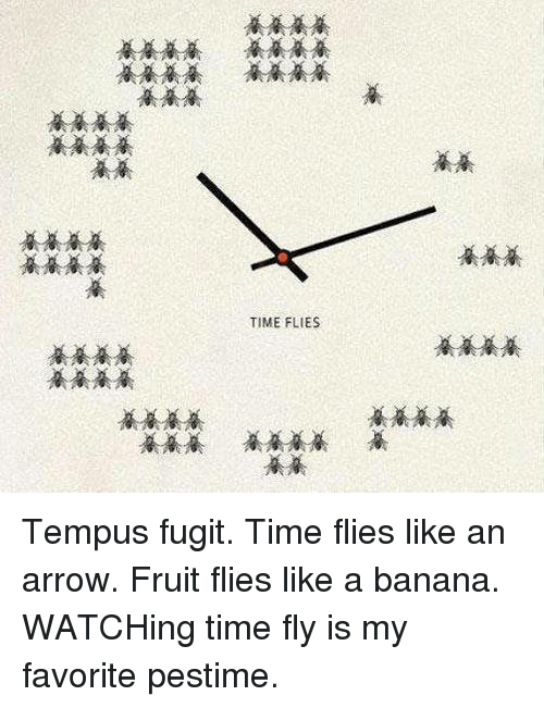 time-flies-tempus-fugit-time-flies-like-an-arrow-fruit-25825156.png