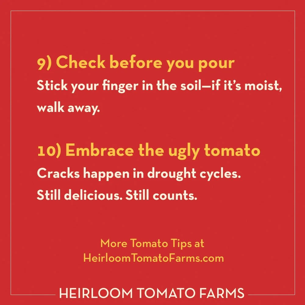 10tips910.jpg