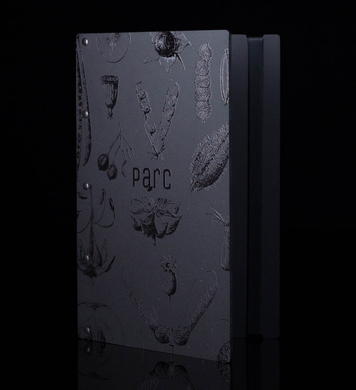 lost luggage portfolio