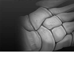 Arthrex Foot & Ankle Products
