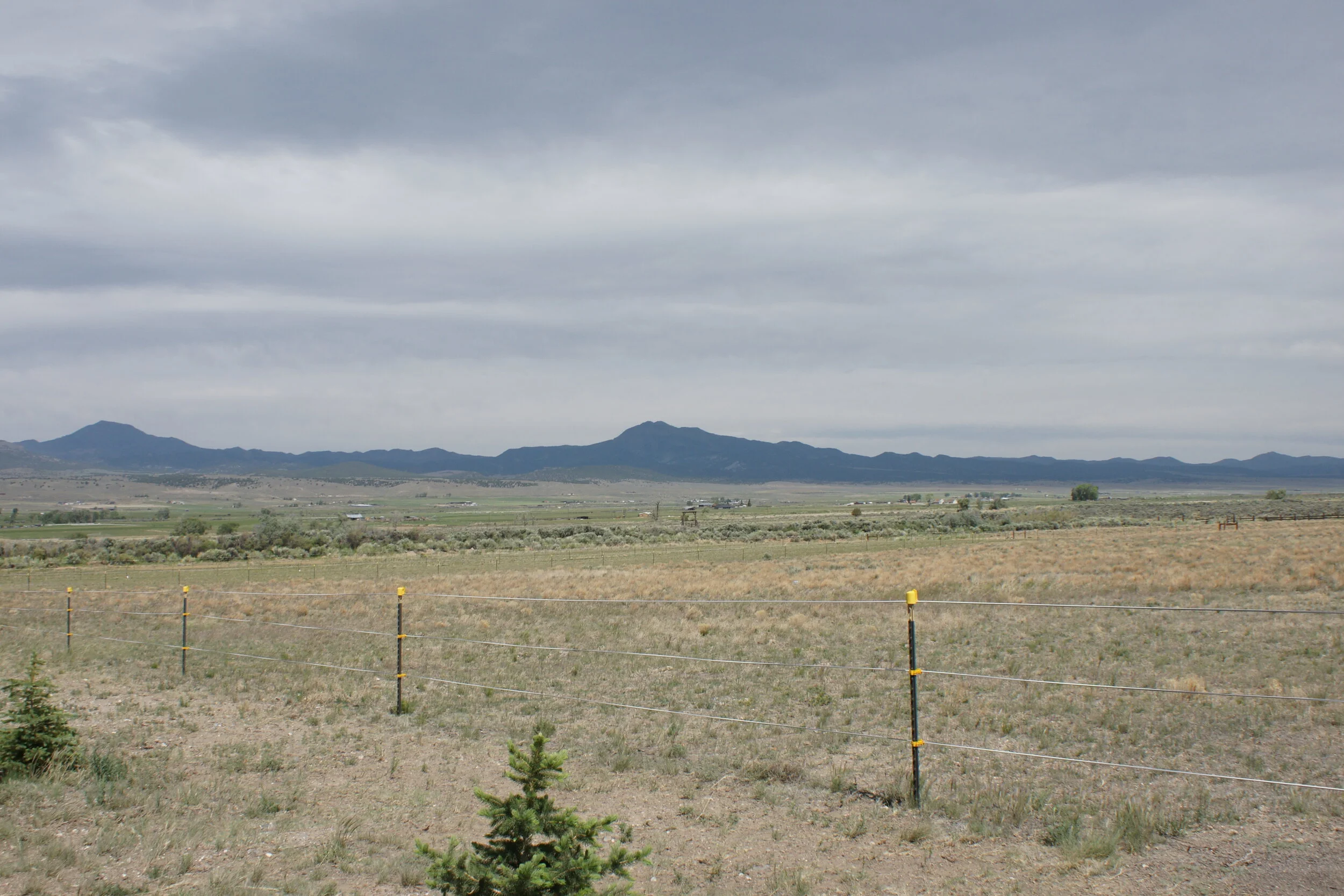 Pasture.JPG