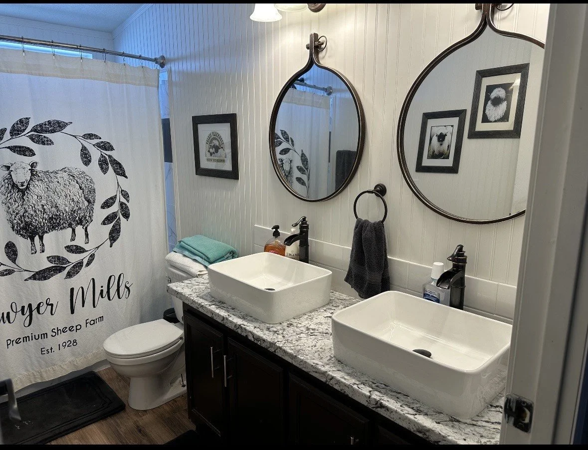 14 Main bathroom Henrieville House.jpg