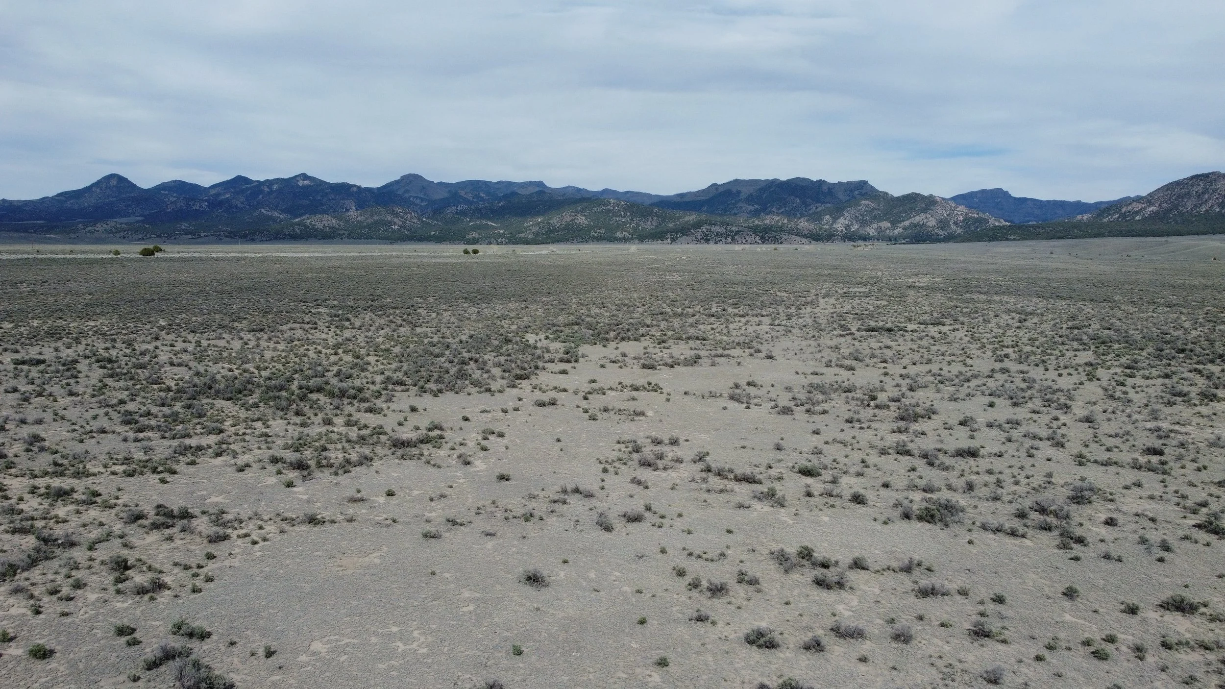 Photo McEwen.JPG