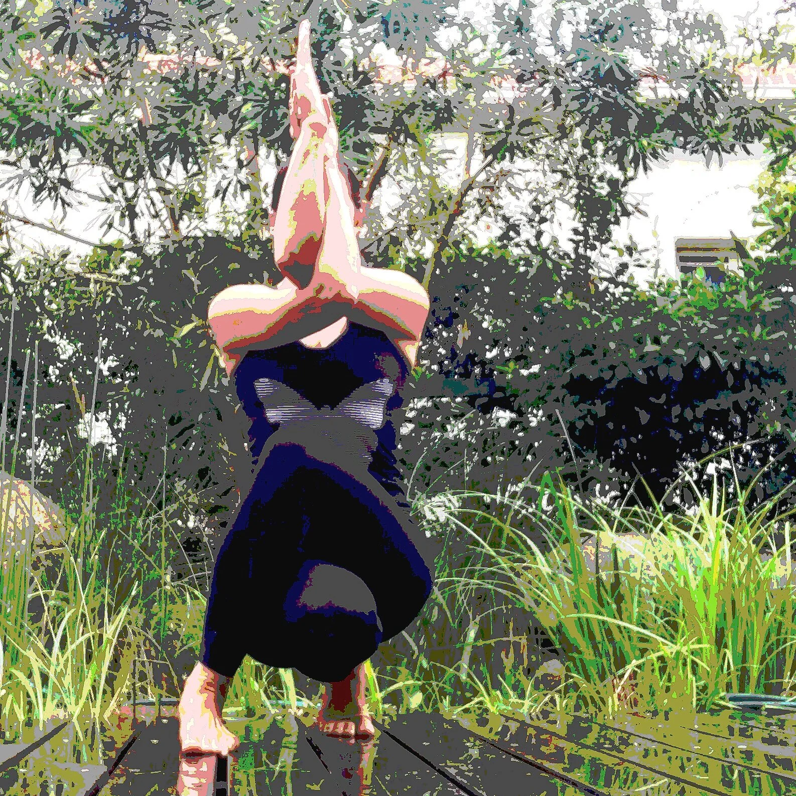 “The process of enlightenment is a dynamic evolving activity, and not a fixed state of attachment, as many conceive it to be. The practice of Yoga requires an open, fluid and sensitive mind, which should not be confused with an emotional mind.” — Sundernath (Shandor Remete), Shadow Yoga Chaya Yoga.