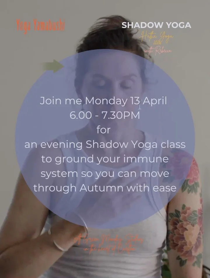 We only have 1 Monday evening class this April @greenmondaystudios so come along to connect with your practice, your body, your mind, whatever takes your fancy 💫 Yoga is for every body that has an interest in Yoga 🌈