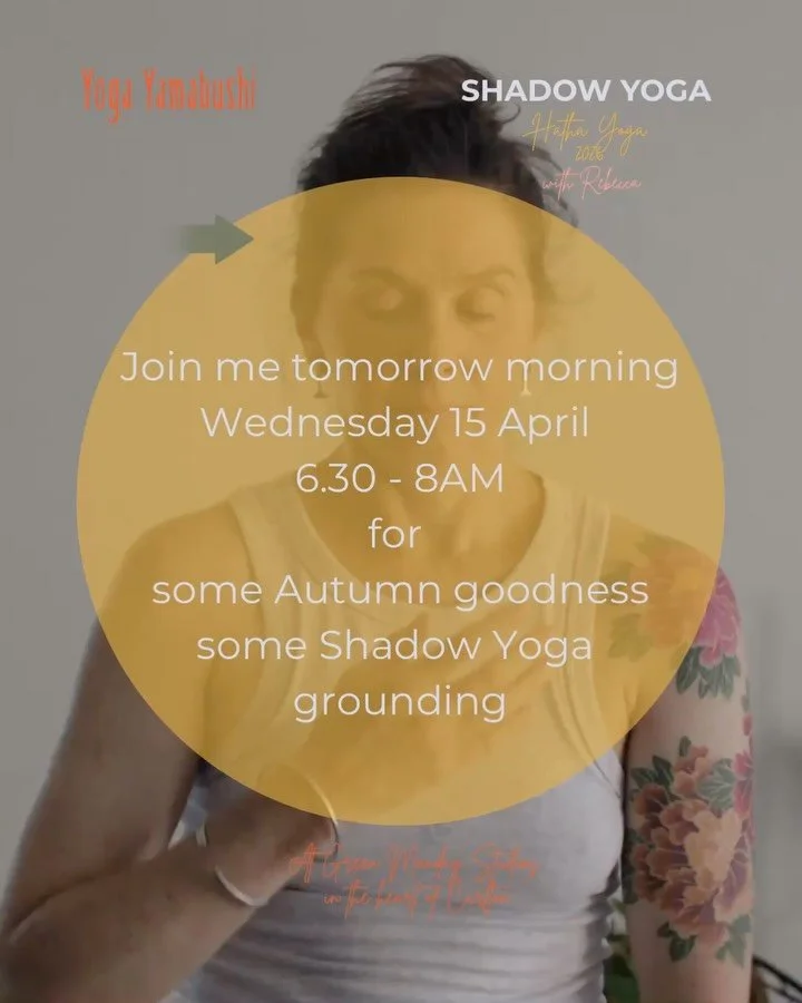 I&rsquo;m away next week so come to class tomorrow! Then back to regular scheduling in May 🤓
#shadowyoga #internalarts #hathayoga #shakti #shiva