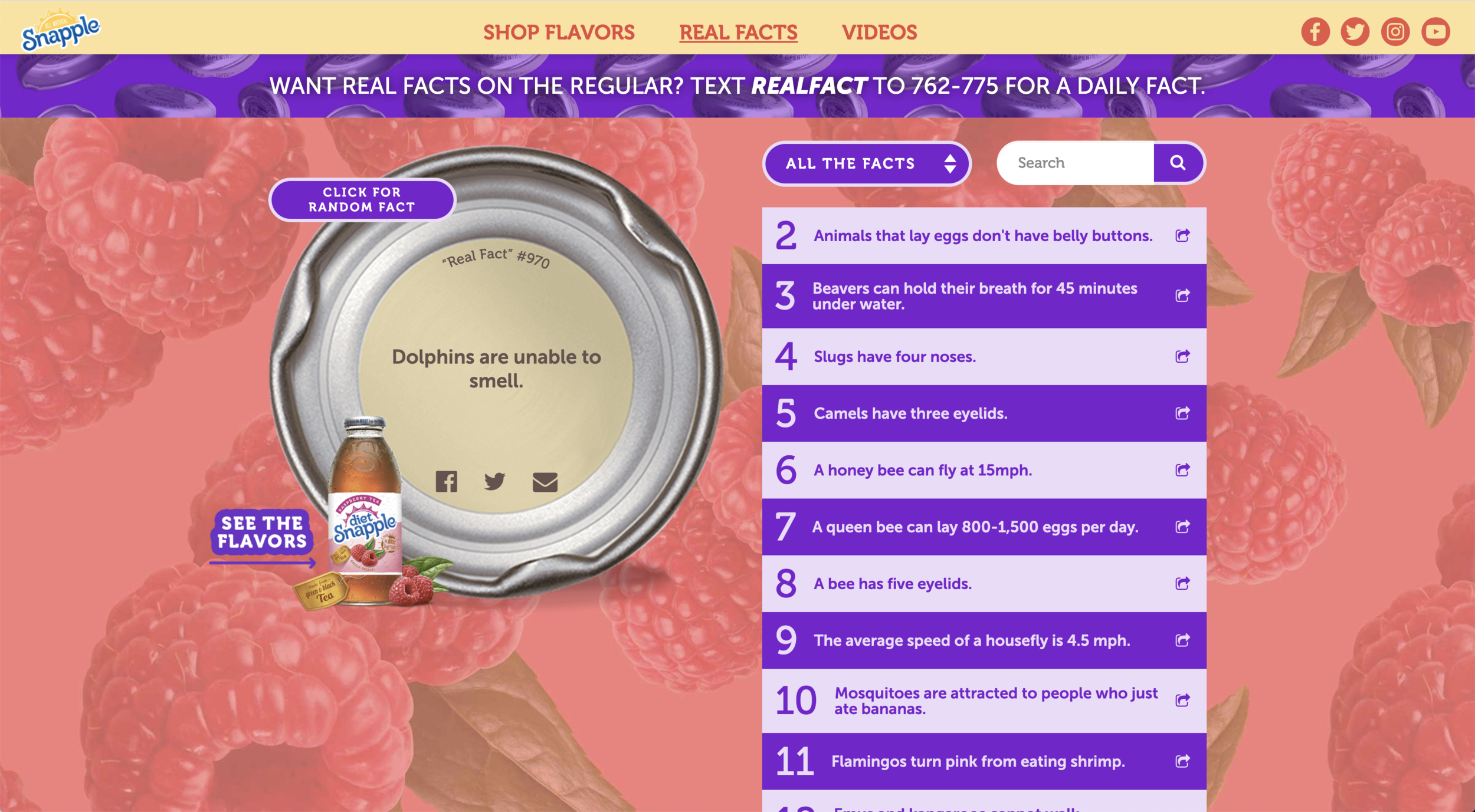 Real Facts Page
