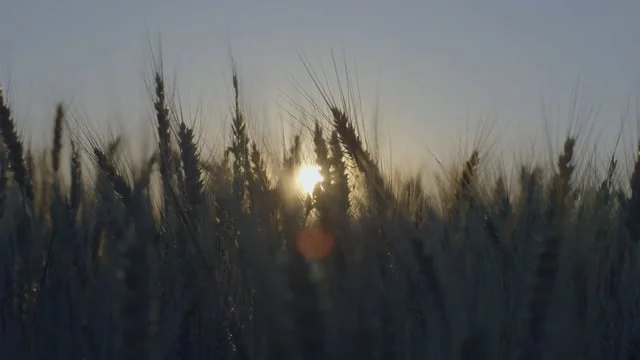 John Deere Brand - Content