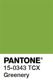 pantonegreen.jpeg