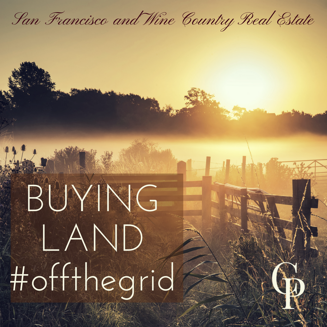 buyingland_cynthiapalmer.png