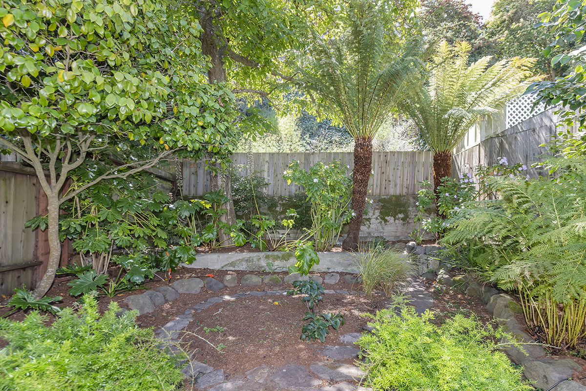 yard-3.jpg